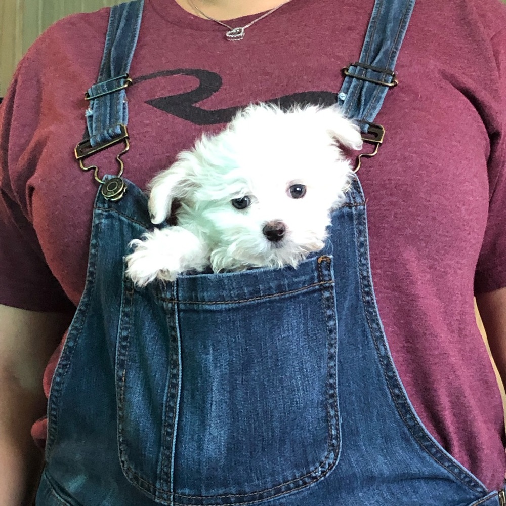 Meet your Posher, Cynthia